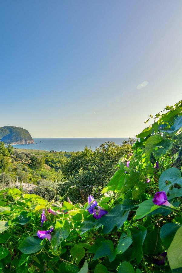 Pataki Guesthouse Petrovac Exterior foto