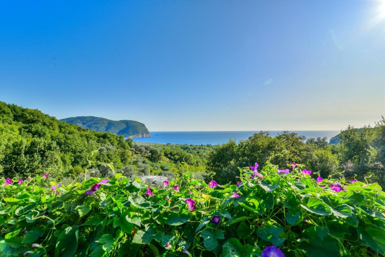 Pataki Guesthouse Petrovac Exterior foto